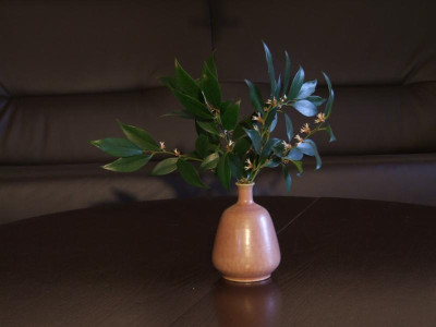 DSCF4601.JPG
