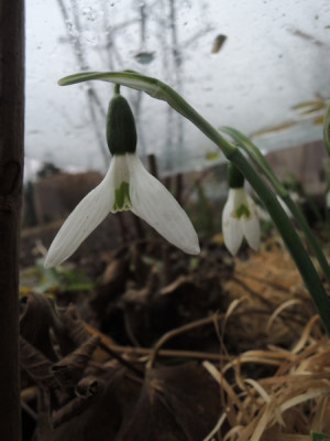 DSCN2895_2822.JPG