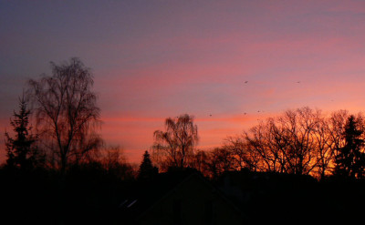 Morgenhimmel_07_02_17aa.jpg