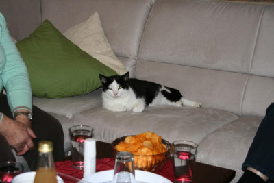 Schnucki0816.jpg