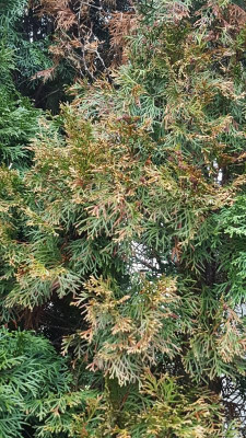 20171221_112811.jpg