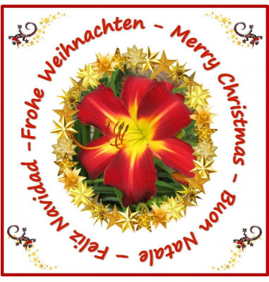 Seasons greetings 2017.jpg