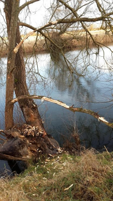 20171222_142000.jpg