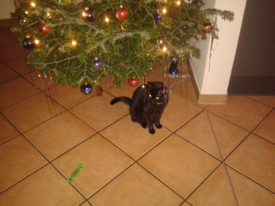 20171224_220514.jpg