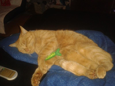 20171226_224301.jpg