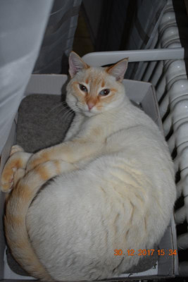 pablo 003.JPG