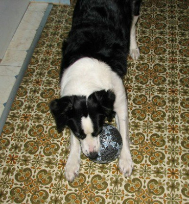 comp_1Beska_.02.07_015.jpg