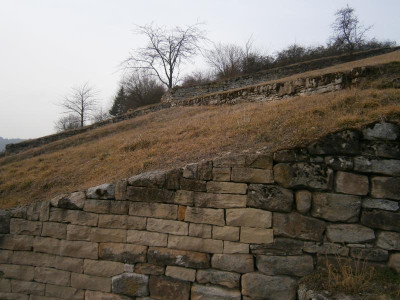 Geigersberg Ochsenbach 034.JPG