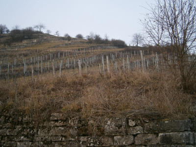 Geigersberg Ochsenbach 075.JPG
