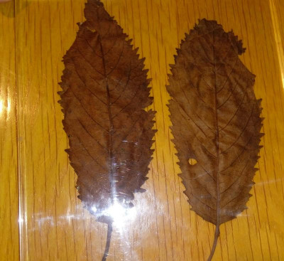 20171031_164218.jpg
