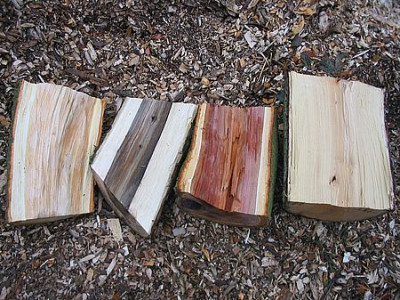 Holzarten.jpg