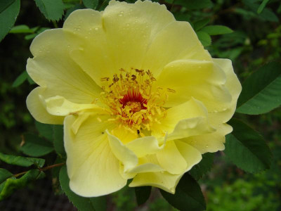 DSC00086.JPG