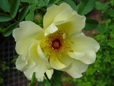 DSC00087.JPG