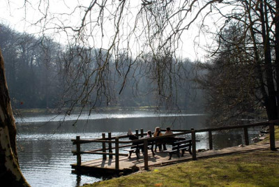 Fruehlingswind-k.jpg