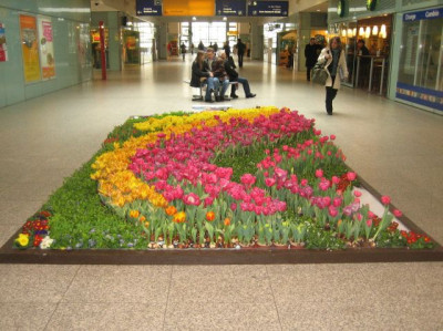 Fruhling_im_Ostbahnhof_41611.jpg