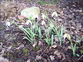 20.02.2007_019.jpg