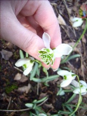 20.02.2007_015.jpg