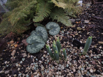 DSCN2939_2847.JPG