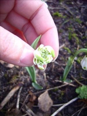 20.02.2007_012.jpg