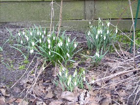 20.02.2007_023.jpg