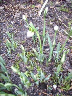 16.02.2007_007.jpg