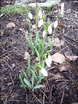 20.02.2007_013.jpg