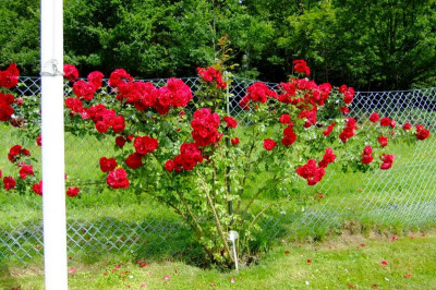 2016_07233april20160002.JPG