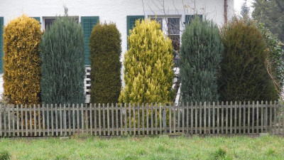 DSCN1575.JPG