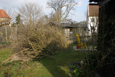 Vorher_01.jpg