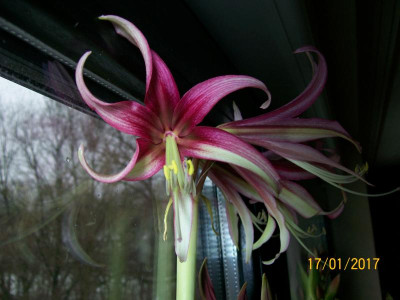 100_5875.JPG