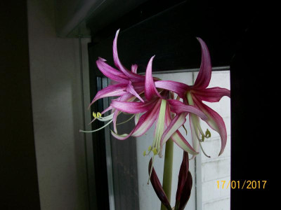100_5881.JPG