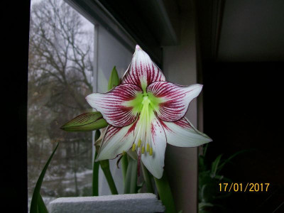 100_5876.JPG