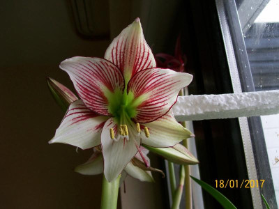 100_5886.JPG