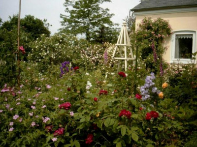 schones_Gartenbild.JPG