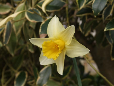 DSCF2721.JPG