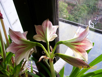 100_5896.JPG