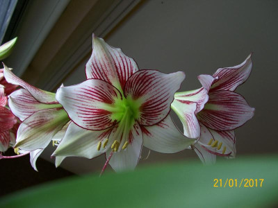 100_5911.JPG