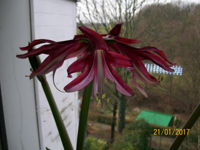 100_5928.JPG