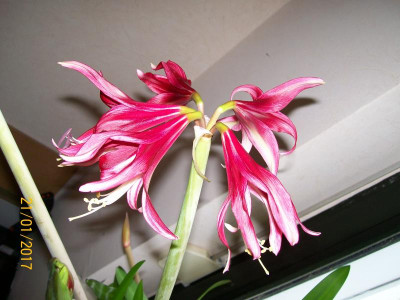 100_5925.JPG