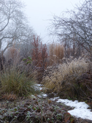 2018-01-21 Gartenimpressionen 1.jpg