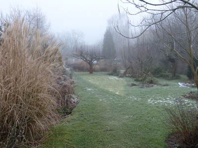 2018-01-21 Gartenimpressionen 3.jpg