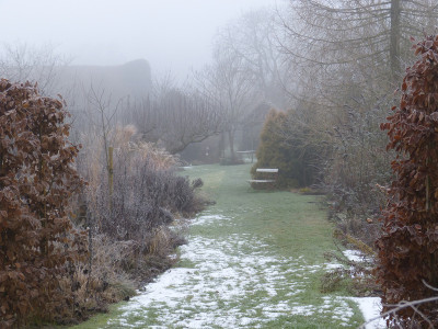 2018-01-21 Gartenimpressionen 7.jpg