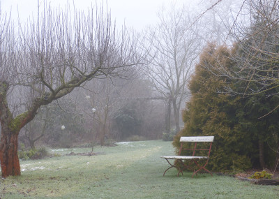 2018-01-21 Gartenimpressionen 8.jpg