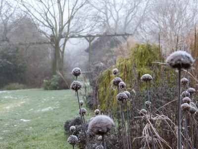 2018-01-21 Gartenimpressionen 9.jpg