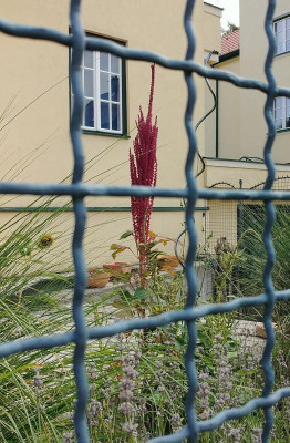 20170828_125637.jpg