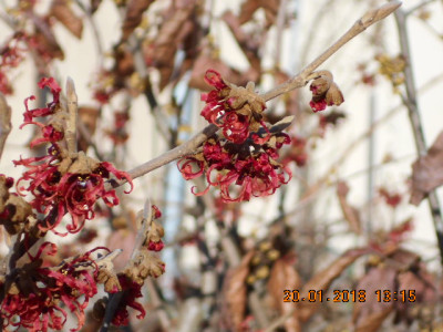 DSCN3629.jpg