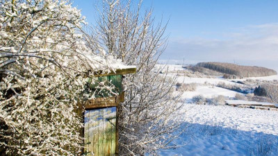 20.1. winterwonderland.jpg