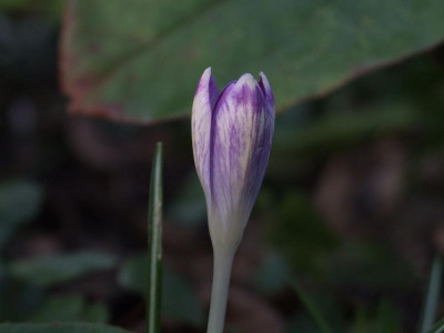DSCF4643.JPG