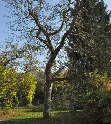 Nussbaum_abschied.jpg