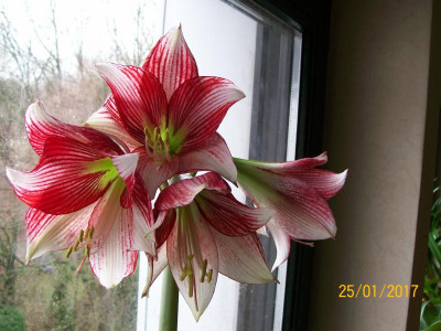 100_5969.JPG